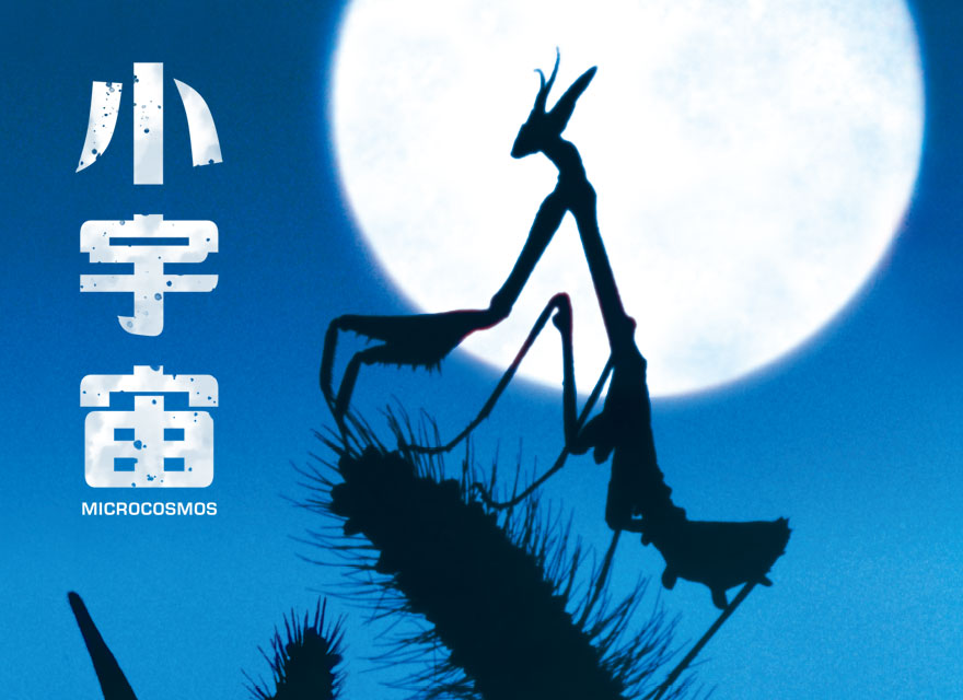 連載 貓喵 19 花生筍模式?